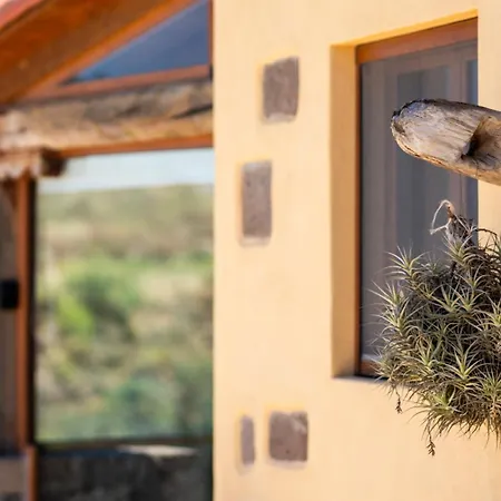 Holidays Tinamar Ii *