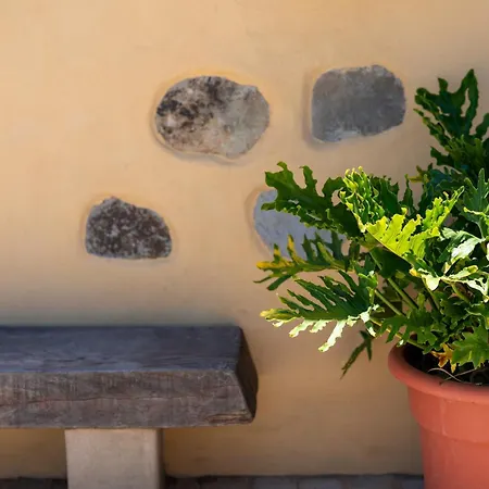 Holidays Tinamar Ii *