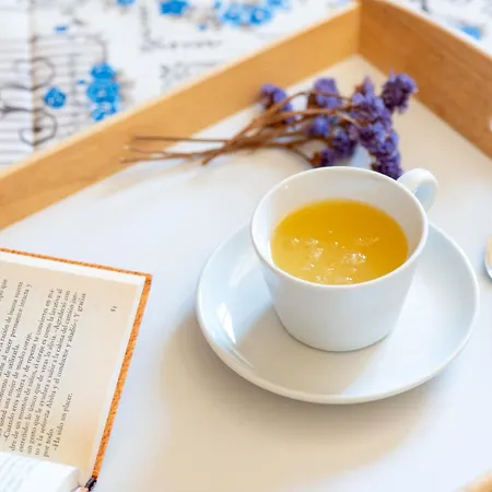 Holidays Tinamar Ii *